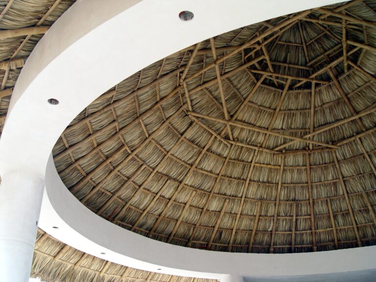 palapa